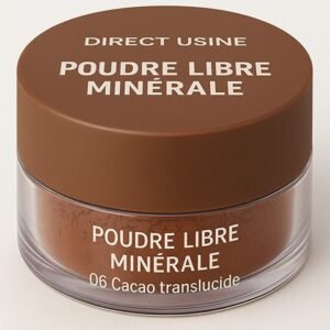 Poudre libre 06 Cacao translucide