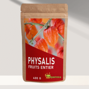 Physalis (Incaberries) Bio - 400 g
