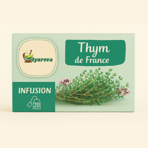 Infusion Thym - bio