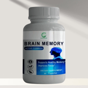 Brain Memory
