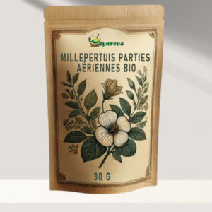 Millepertuis Parties aériennes Bio - 30 g