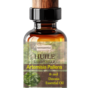 Huile essentielle Davana ou Artemisia Pallens