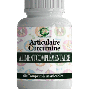 Articulaire Curcumine