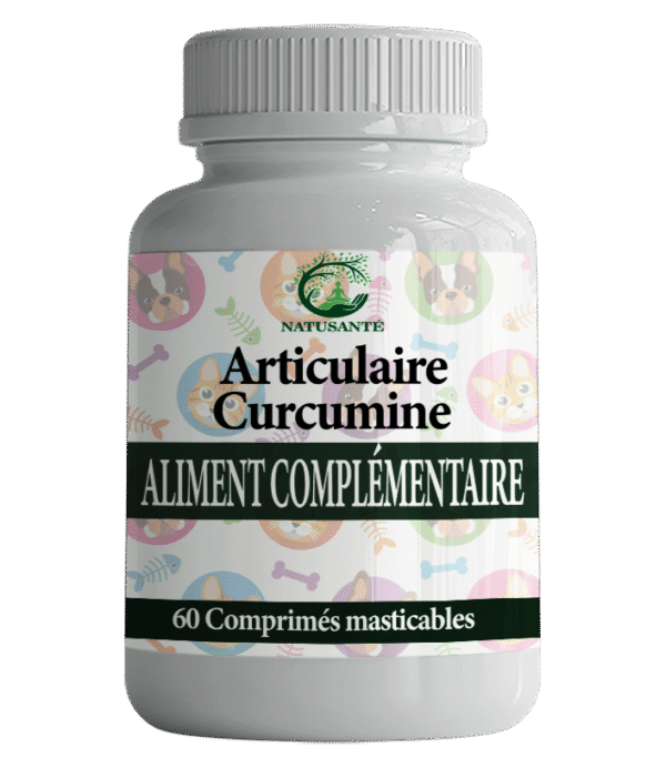 Articulaire Curcumine