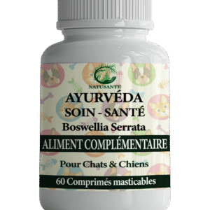 Ayurveda Sion & Sante Boswellia Serrata